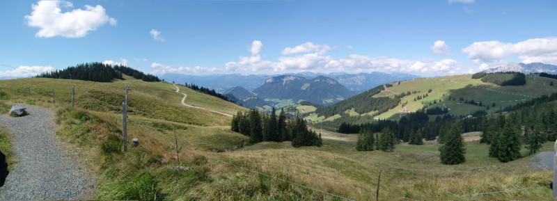 bild(62)